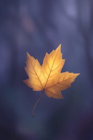 The Autumn Leaf oracle card